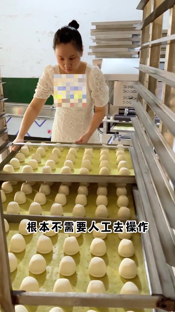 馒头生产线 馒头机 馒头房