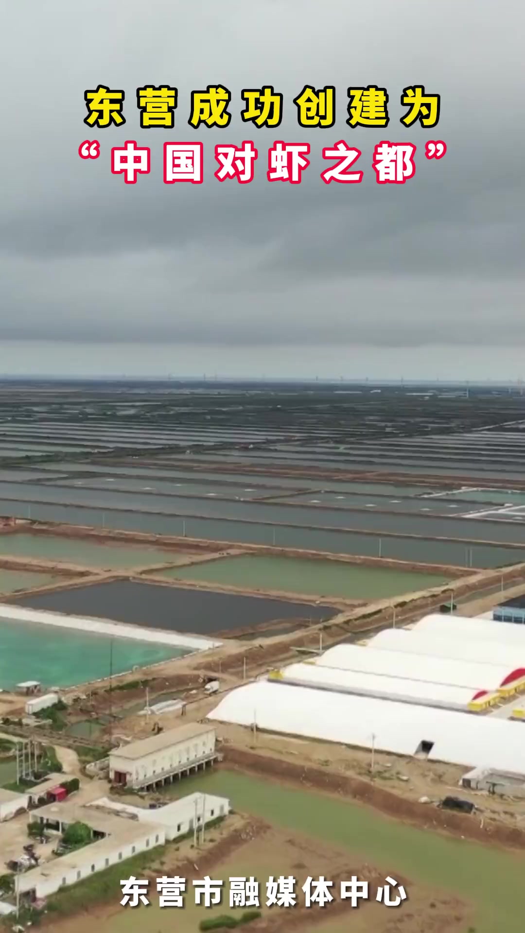 东营成功创建为“中国对虾之都” 东营 中国对虾之都 对虾养殖(编辑:张胜璐)