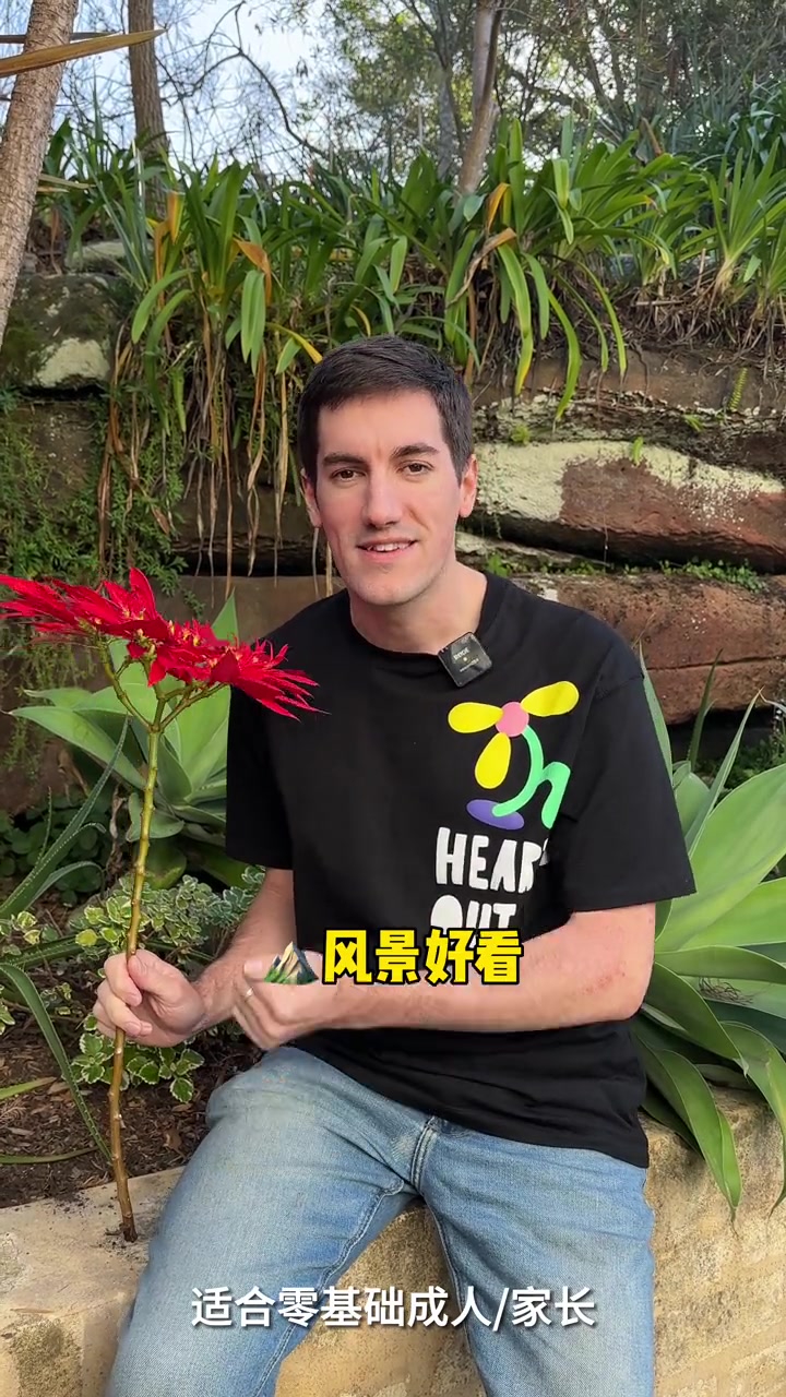 漂亮的高级英语单词 英语 单词 斯远老师