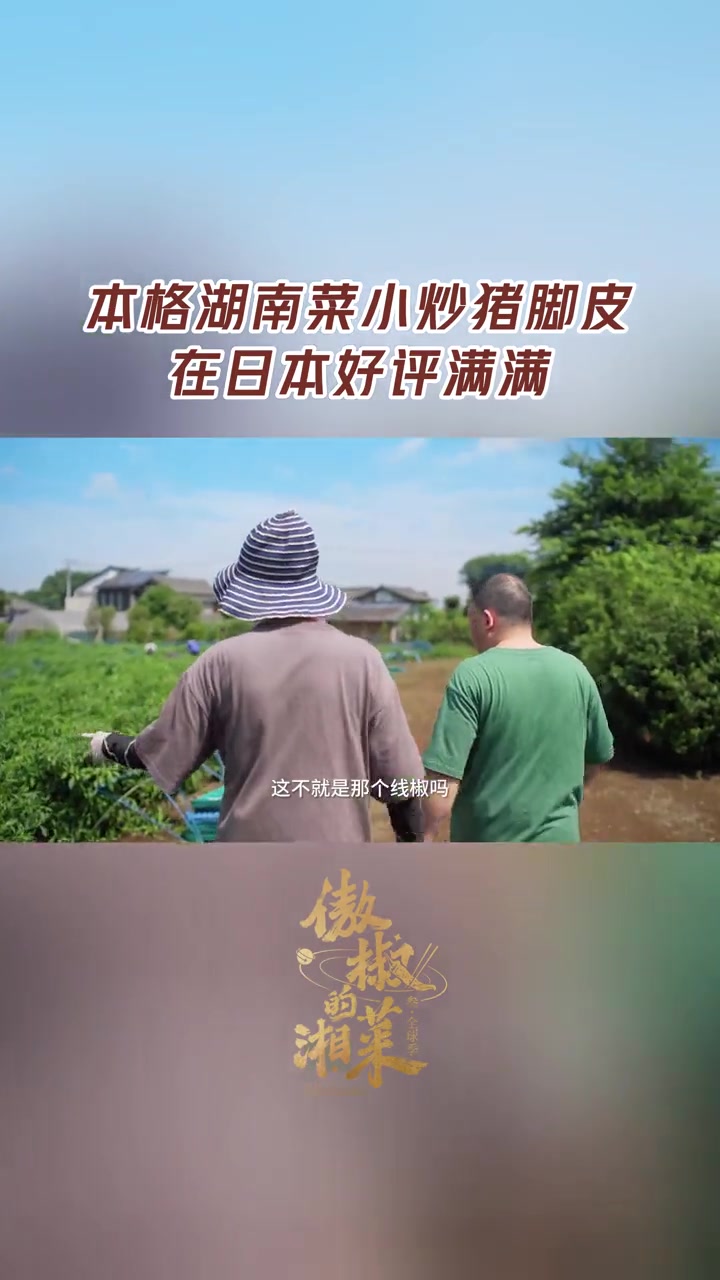 湘味猪脚皮馋哭日本人 为了适应日本人的口味,中餐到了日本大部分都会经过一定的改良。老白偏偏