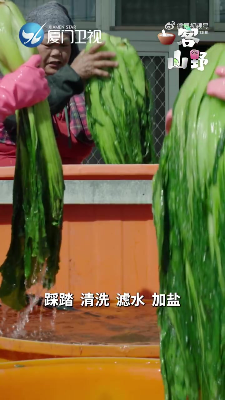 「美食纪录片两岸一味 梅菜香如故丨台湾客家梅菜扣肉」在台湾,客家人也把芥菜叫做大菜、长年菜