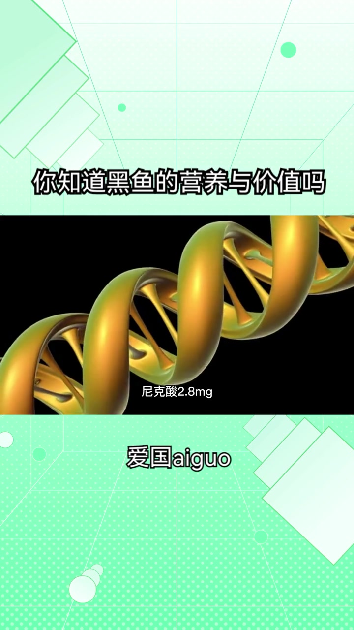 你知道黑鱼的营养与价值吗?水产养殖 黑鱼养殖 营养不良吃什么 补身体喝什么汤 黑鱼汤
