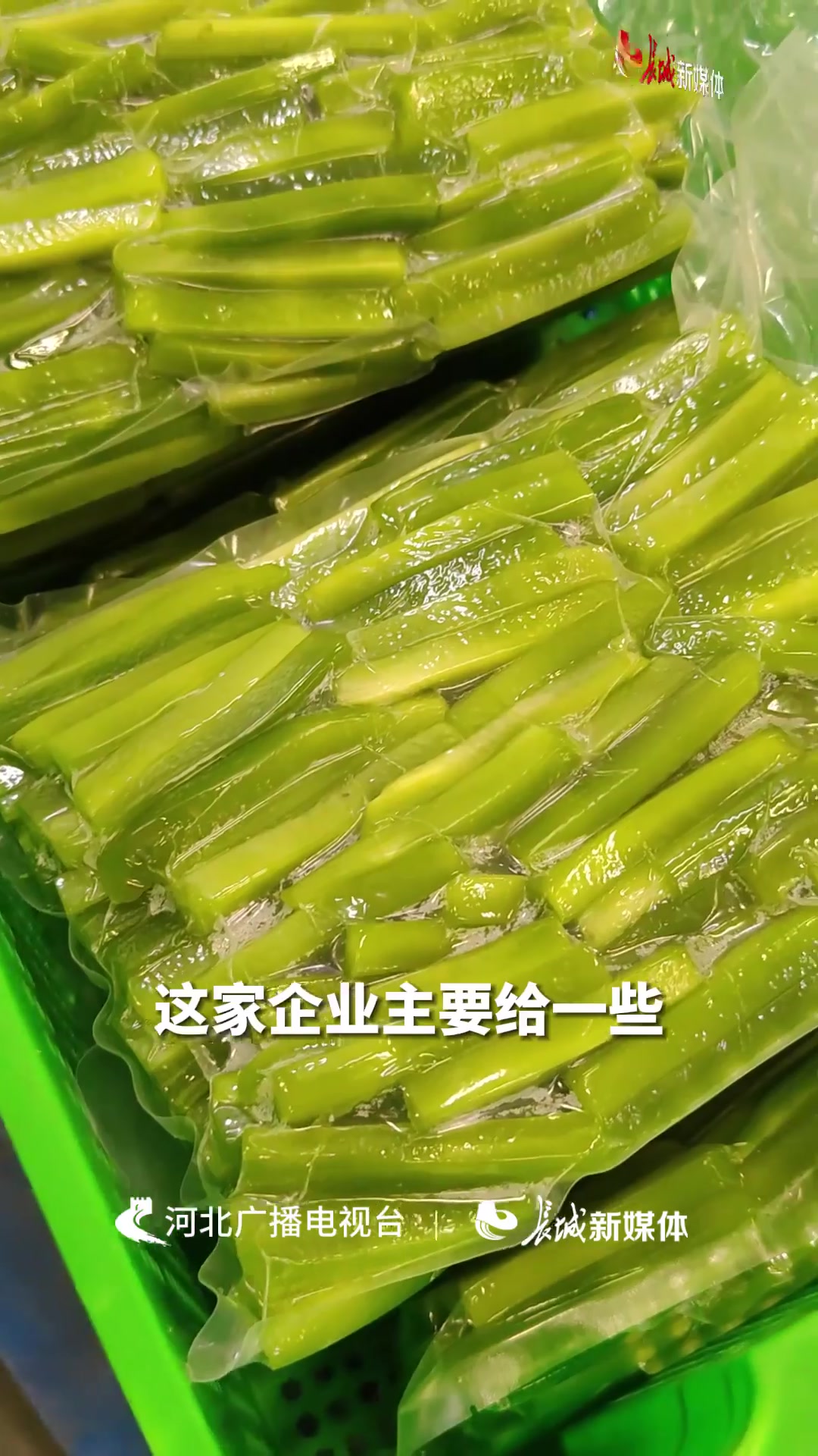 定州净菜车间的“高薪族”