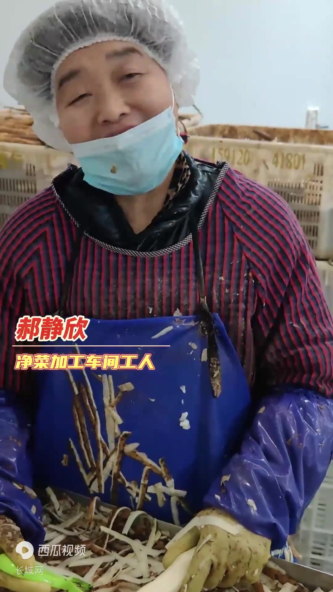 新春走基层·记者在现场|净菜车间飘出“幸福年味”
