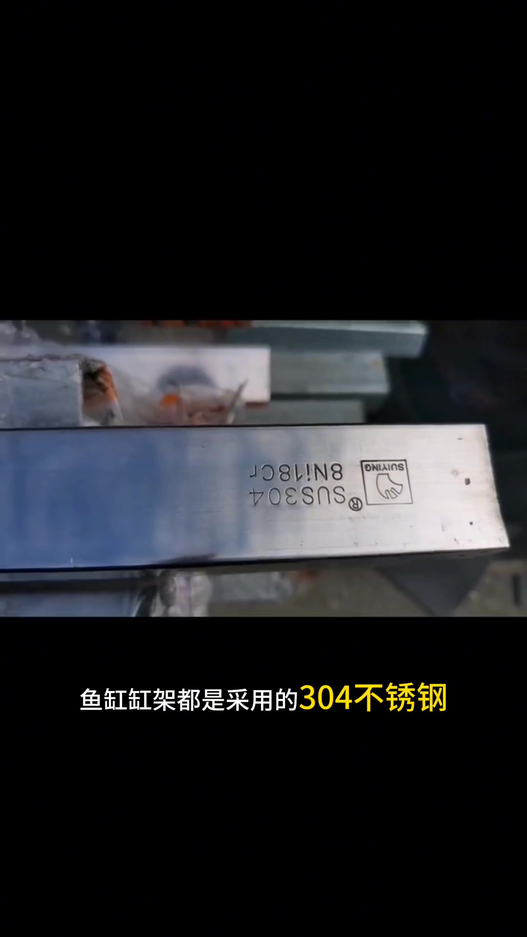 移动海鲜池生产厂家-超市海鲜鱼缸,饭店海鲜池,海鲜池制作