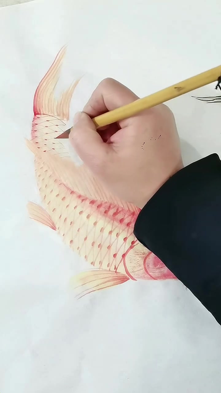 教你画鲤鱼
