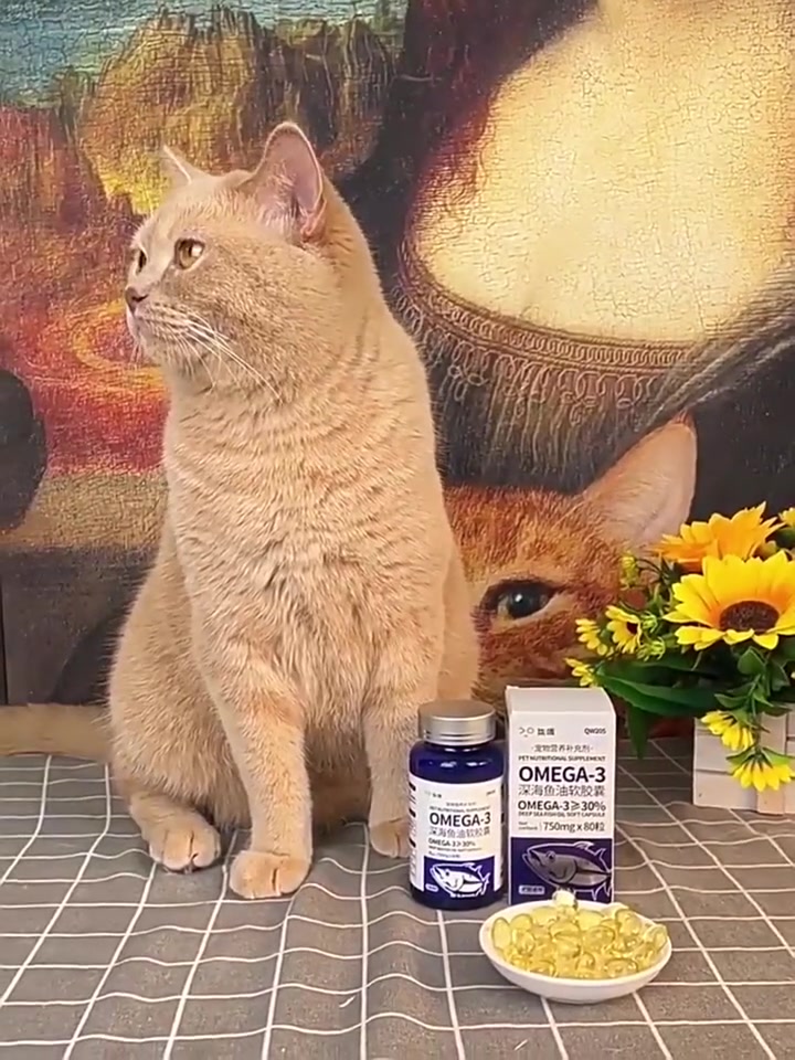 猫咪鱼油狗用防掉毛鱼肝油犬用卵磷脂深海鱼美毛靓毛用品宠物鱼油 现价只需29.9元