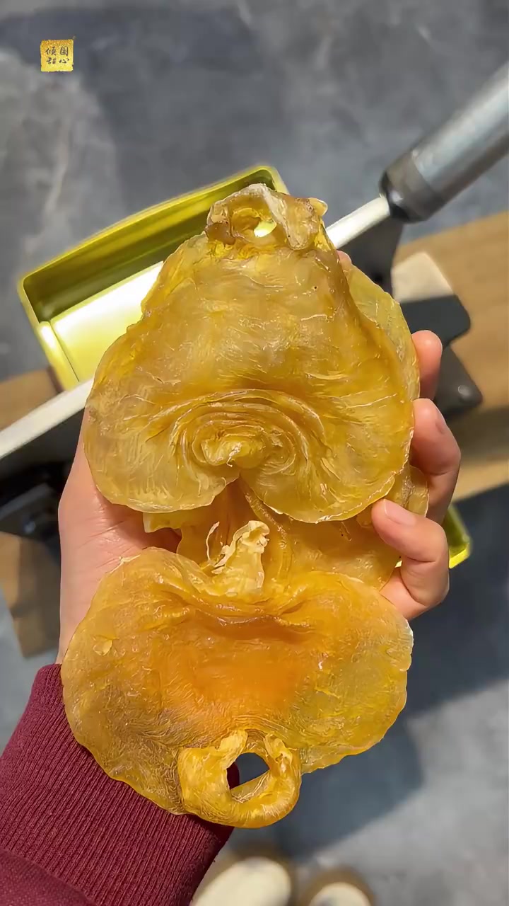 集美们!春天来啦,是时候展现我们那曼妙的身材啦 在这个充满生机的季节,赶紧安排花胶膳食减脂