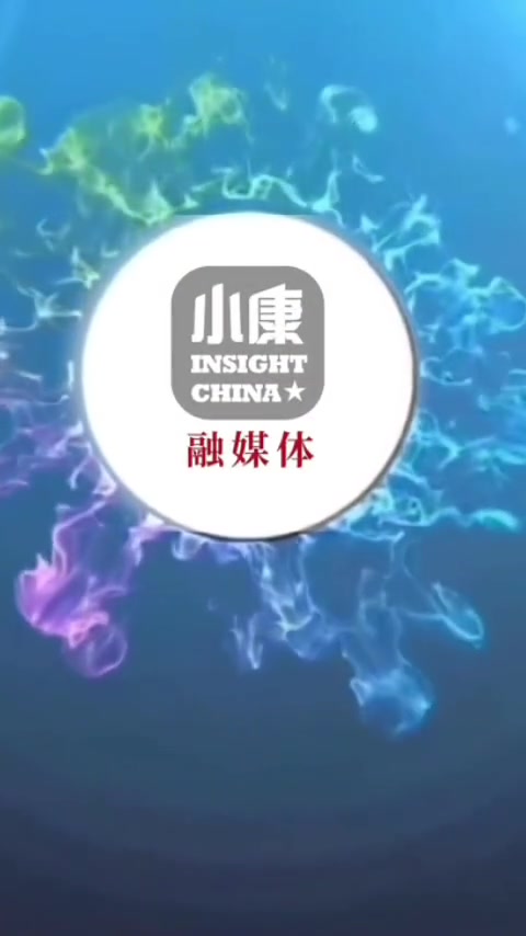 车上没有三角警示牌,车主拿出油+银鹭八宝粥来凑,网友:也没错 因为油+银鹭=油银(有人)。