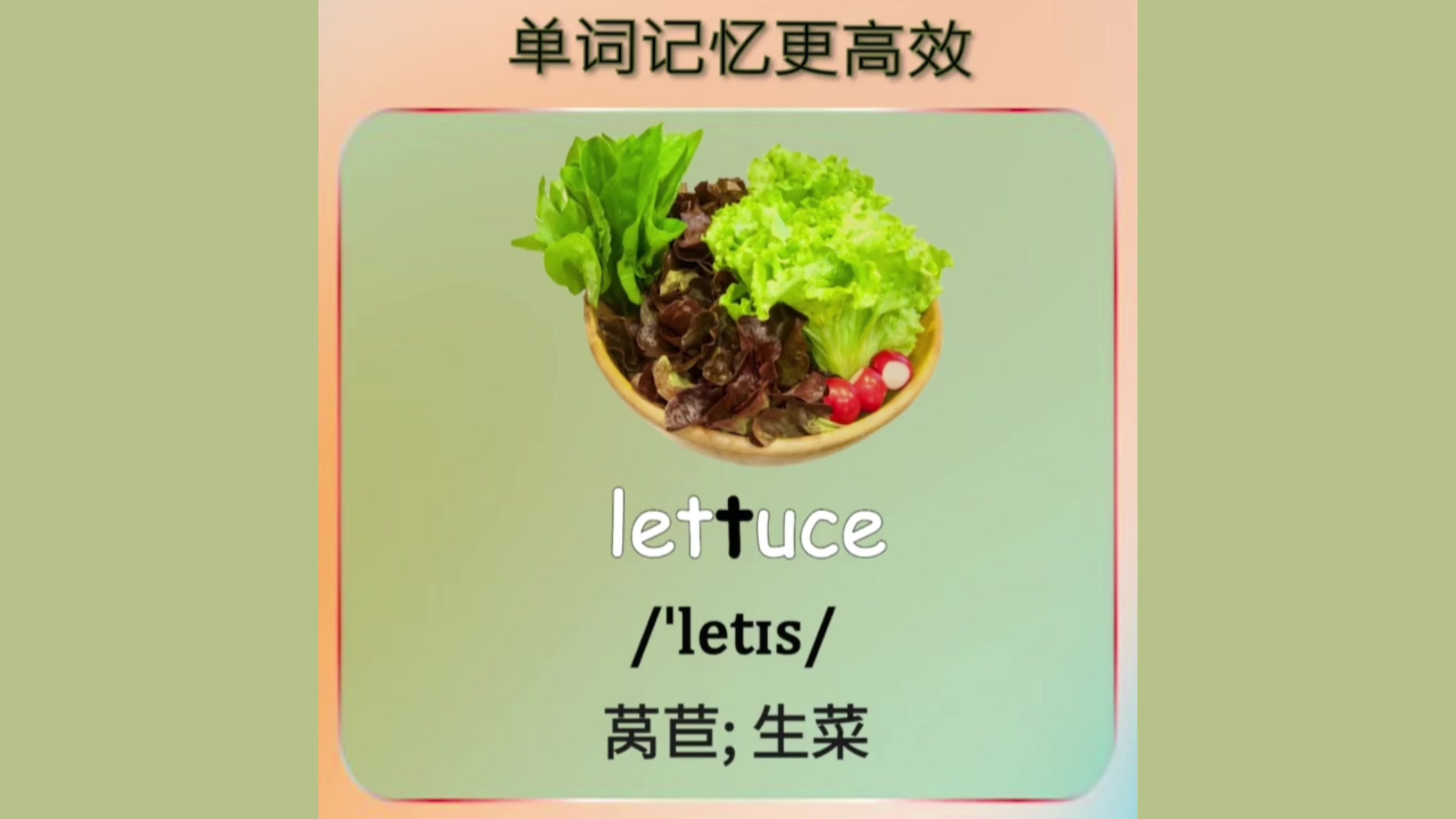 小学英语单词背诵lettuce生菜-自然拼读 见词能读 听音能写