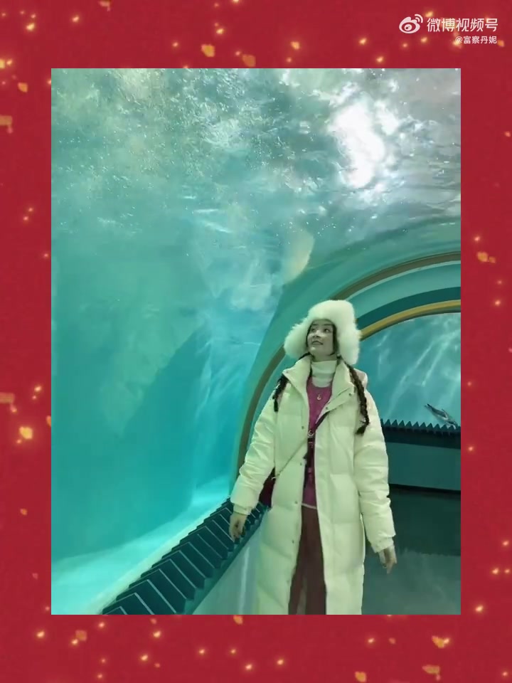 极地馆必打卡—超级水晶大碗!来企鹅馆必体验的美拍地:和在头上“飞过”的小企鹅想抓拍几张合拍