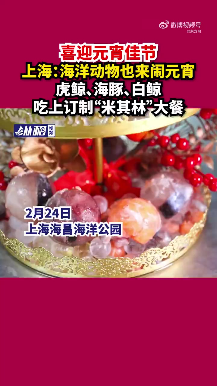 「上海海洋动物吃上元宵大餐」元宵佳节来临,上海海昌海洋公园的动物们也吃上了特制的海鲜元宵。