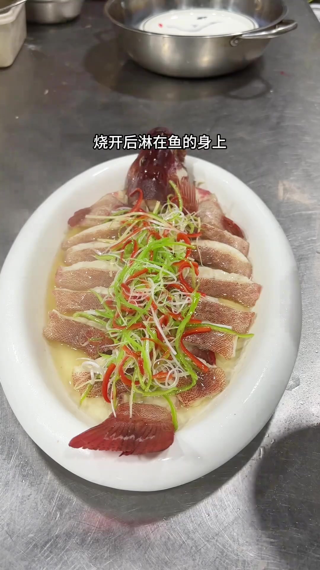 清蒸东星斑,这种做法可以蒸任何鱼都非常好吃 学会快去试试吧 做法简单又营养