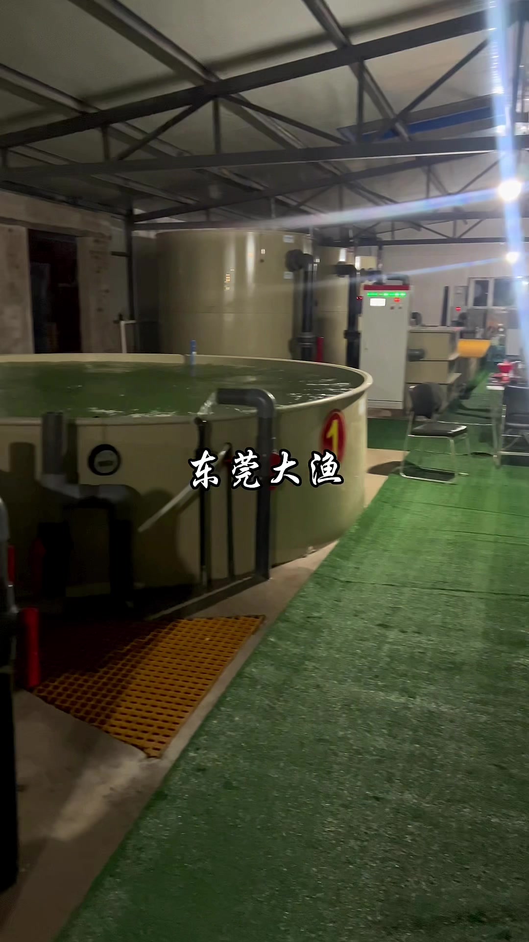 新疆哈密循环水虹鳟鱼养殖基地