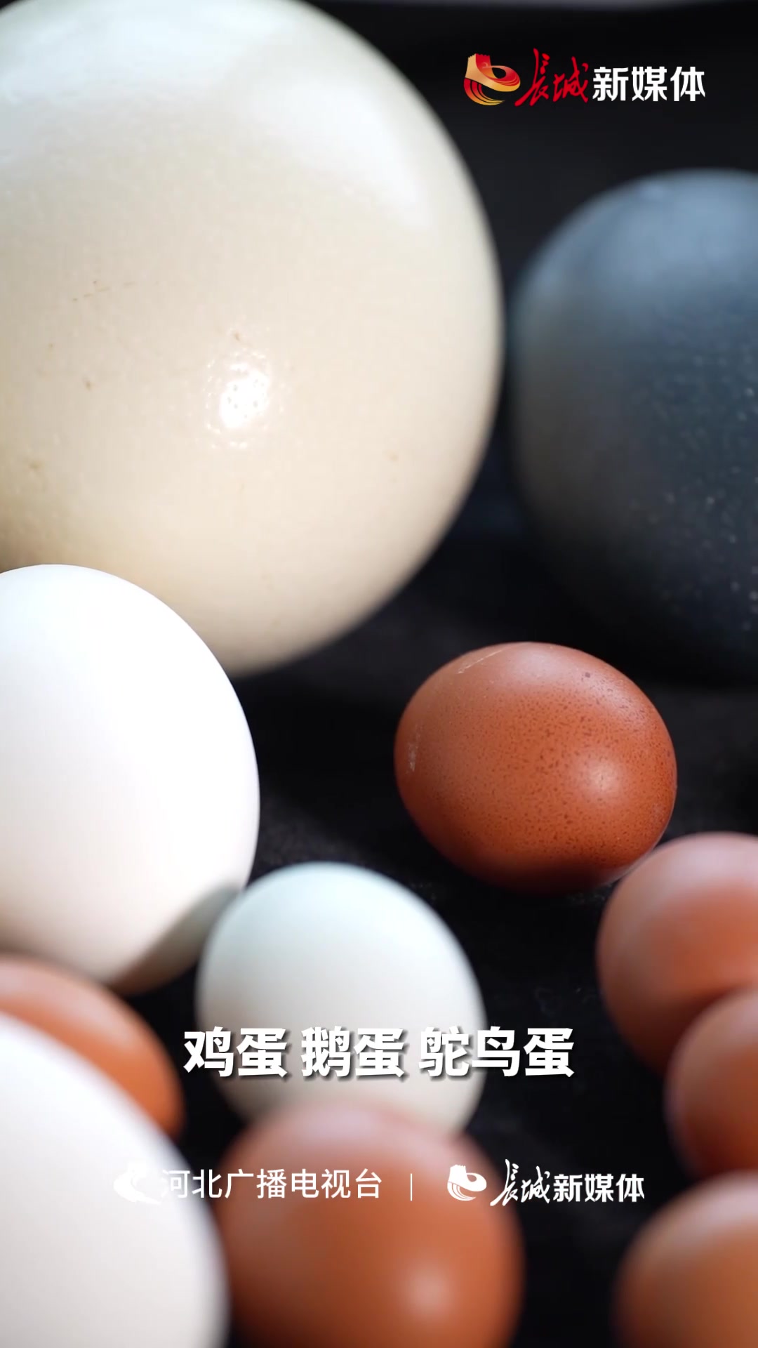 蛋壳生花领国潮