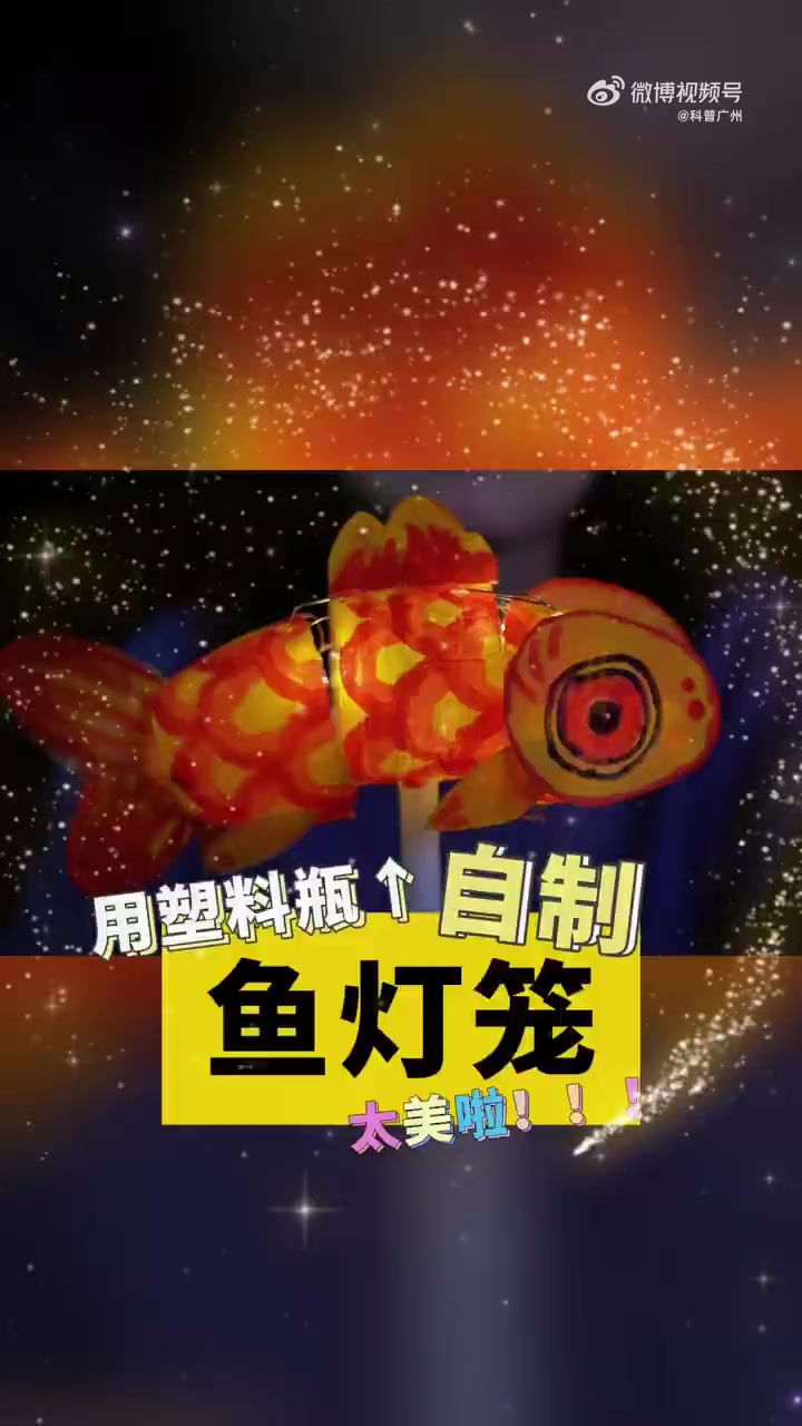 自制灯笼第二弹!鱼灯笼太美啦~ 亲子手工 科博士实验室