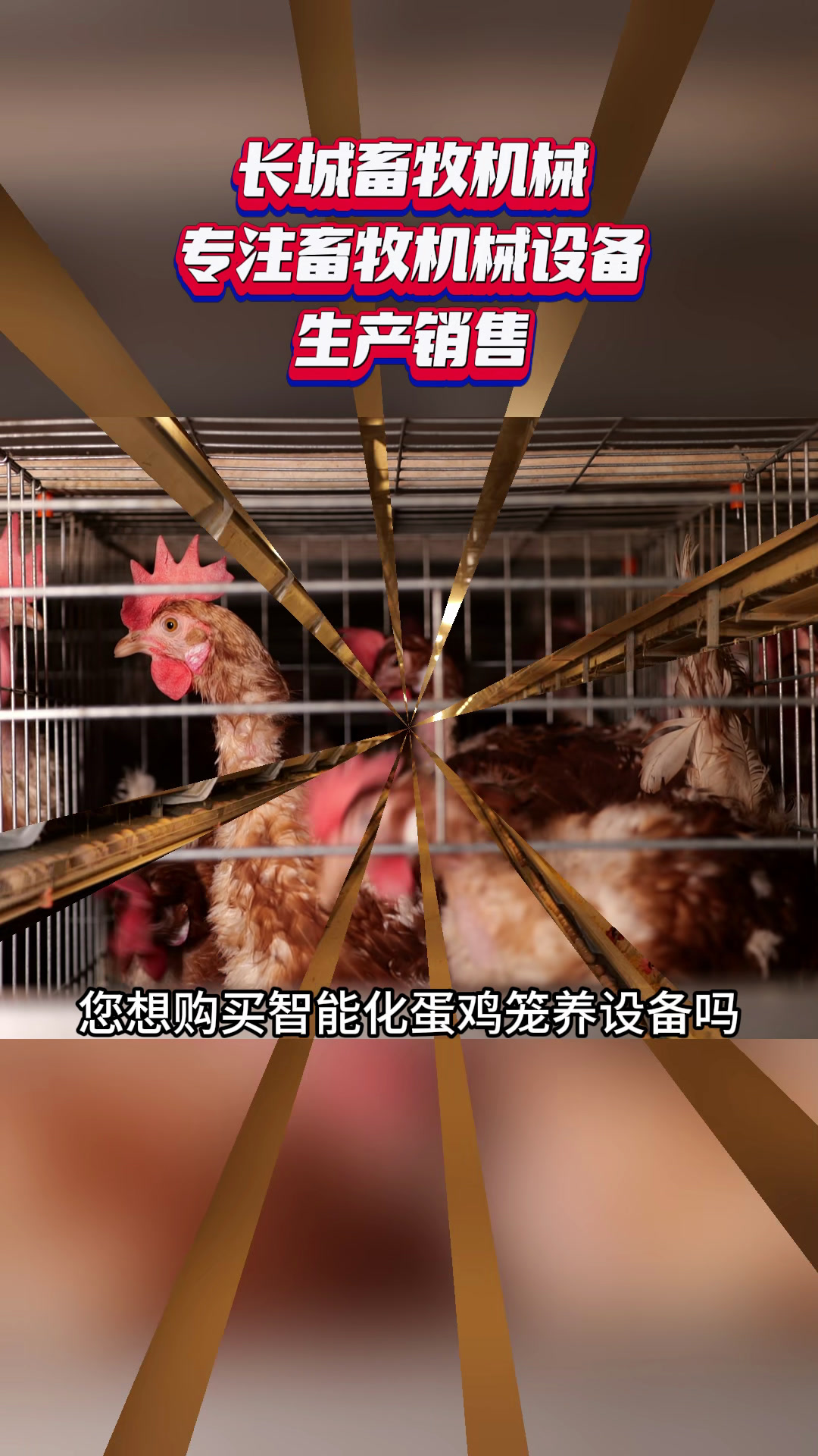 把当下做好明天才会更好! #普洱市畜牧机械设备厂家 #防城港