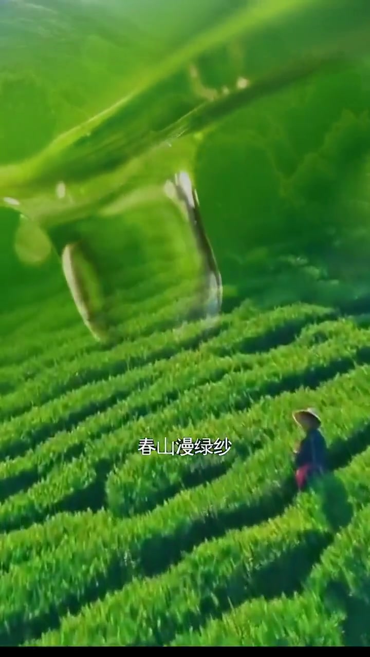 「unknown (9)」喜欢喝奶盖雪顶,山茶涧一定有你没喝过的味道,秋天的第一杯奶茶,快