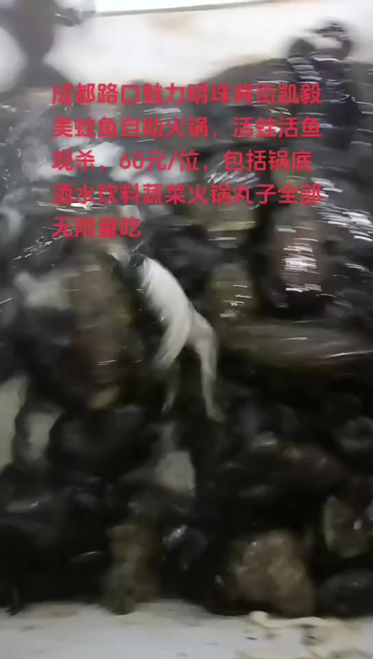 美蛙鱼自助火锅60/位,包括锅底酒水饮料蔬菜火锅丸子全部无限