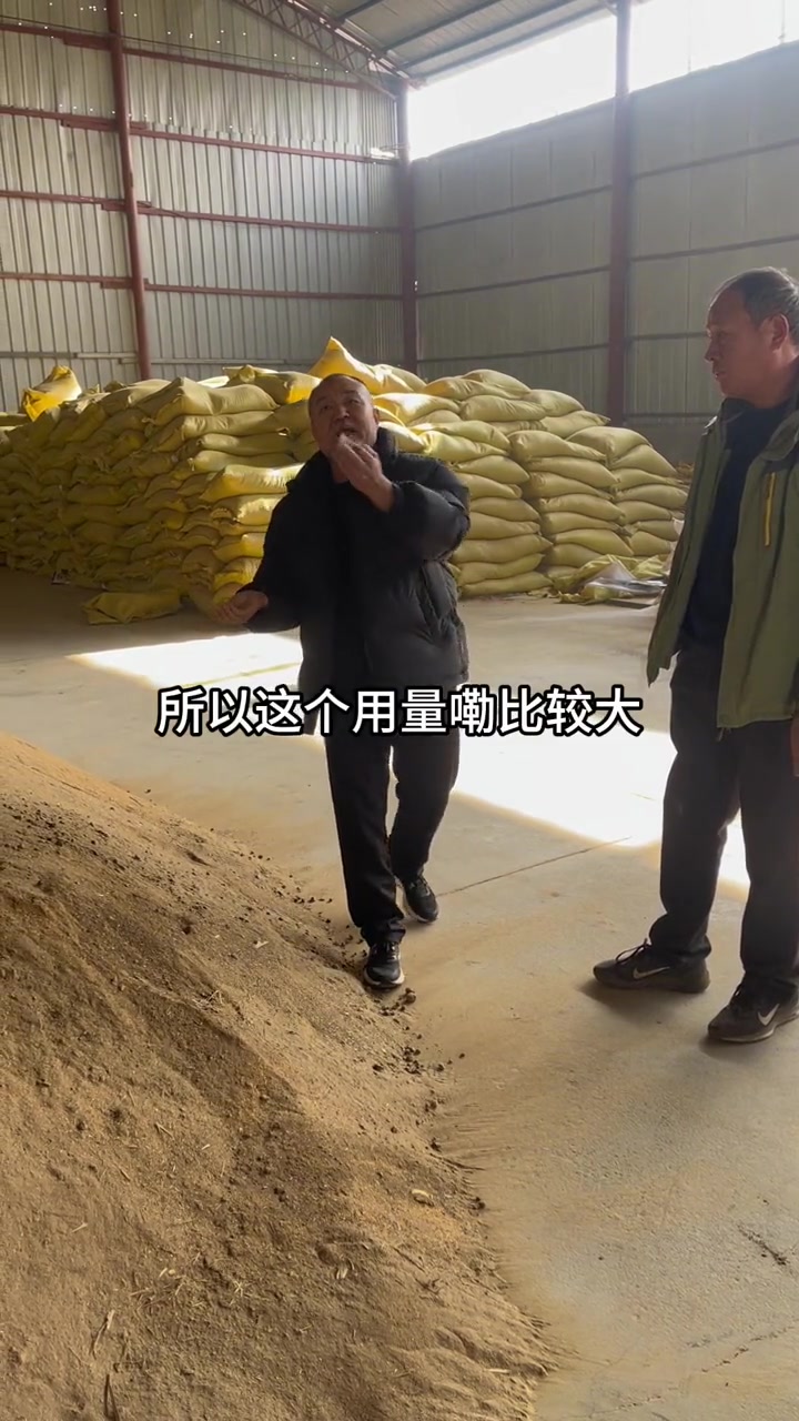 千头牛场,双低菜粕喂牛 肉牛养殖 西门塔尔 教授说牛羊 养牛技术 农村创业养殖