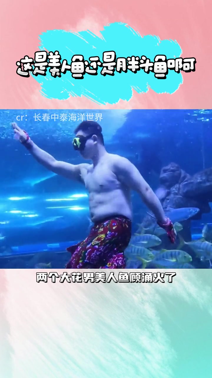 美人鱼届的顾涌者。万万没想到 长春中泰海洋世界 东北大花男美人鱼 海洋生物