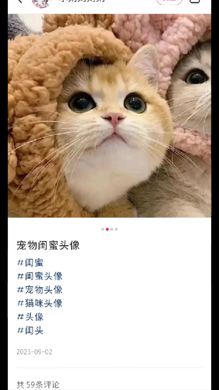 可爱猫咪闺蜜头像喜欢记得收藏哦!