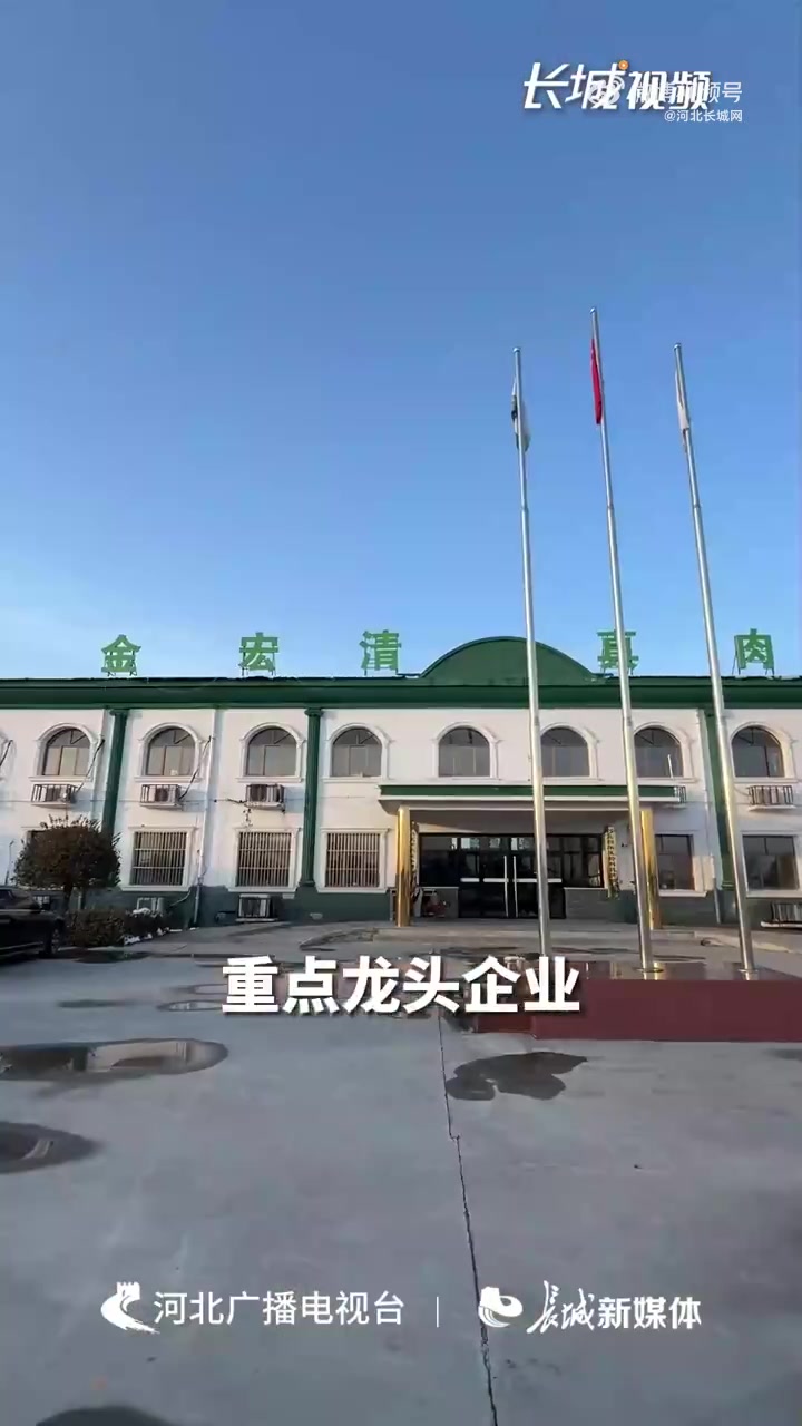 「“抬头羊”“绿野”“火来顺”等这些知名商标都来自河北这个小镇」靠羊发展的致富经寒冷的冬天