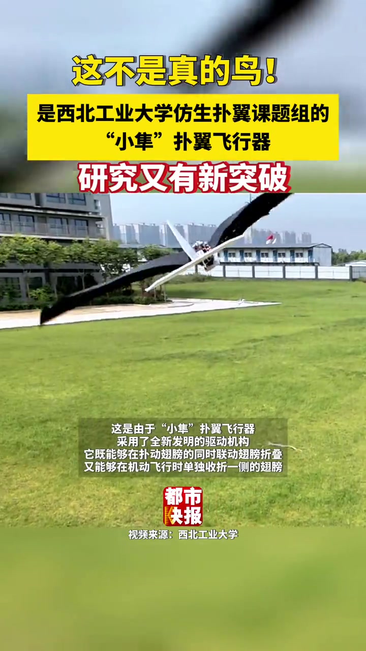 「西工大仿生扑翼飞行器又有了新突破」西北工业大学研发的仿生扑翼飞行器又有新突破。日前,西北