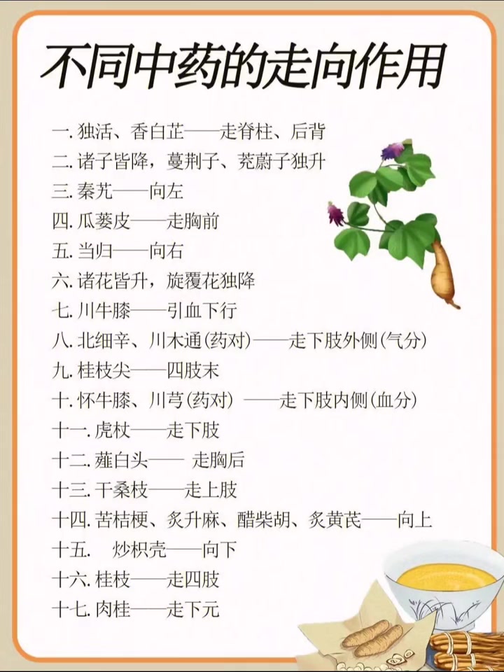 独活、香白芷——走脊柱、后背 二.诸子皆降,蔓荆子、茺蔚子独升 三.秦艽——向左 四.瓜蒌