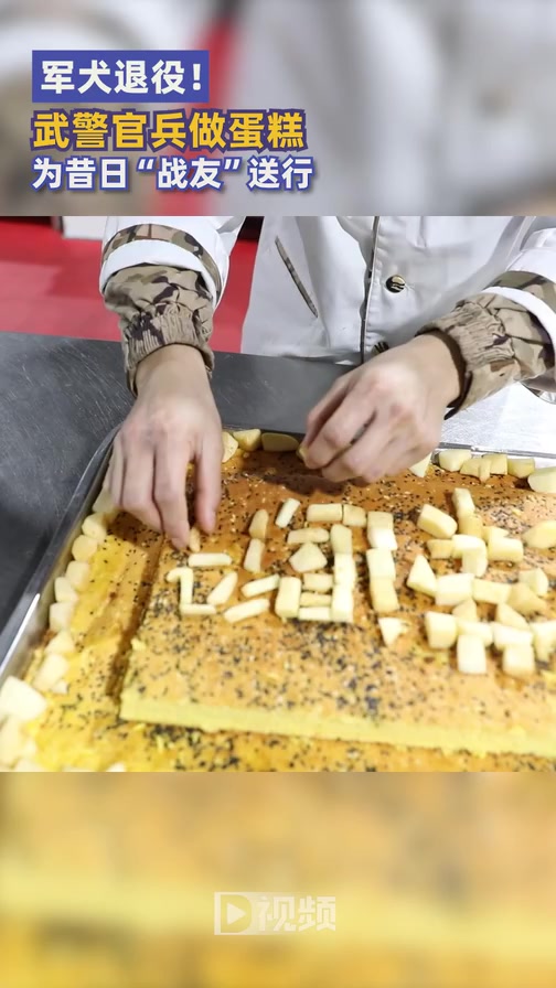 武警做蛋糕为退役军犬送行