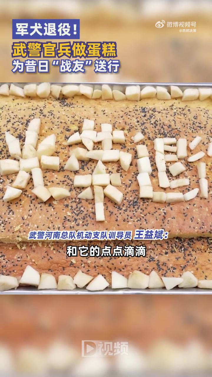 「武警做蛋糕为退役军犬送行」2月29日,河南郑州。在武警河南总队机动支队服役8年的防爆犬“