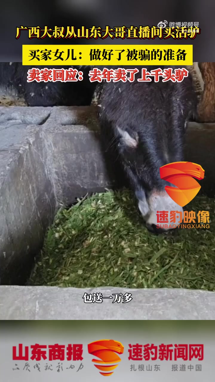 「山东大哥回应直播间卖活驴:去年卖了上千头驴」近日,广西百色。网友晒出爸爸花了1万多元在山