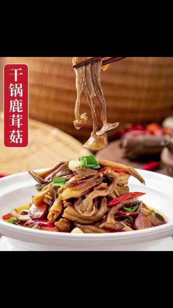 鹿茸菇好多人应该都是没听过的菌类