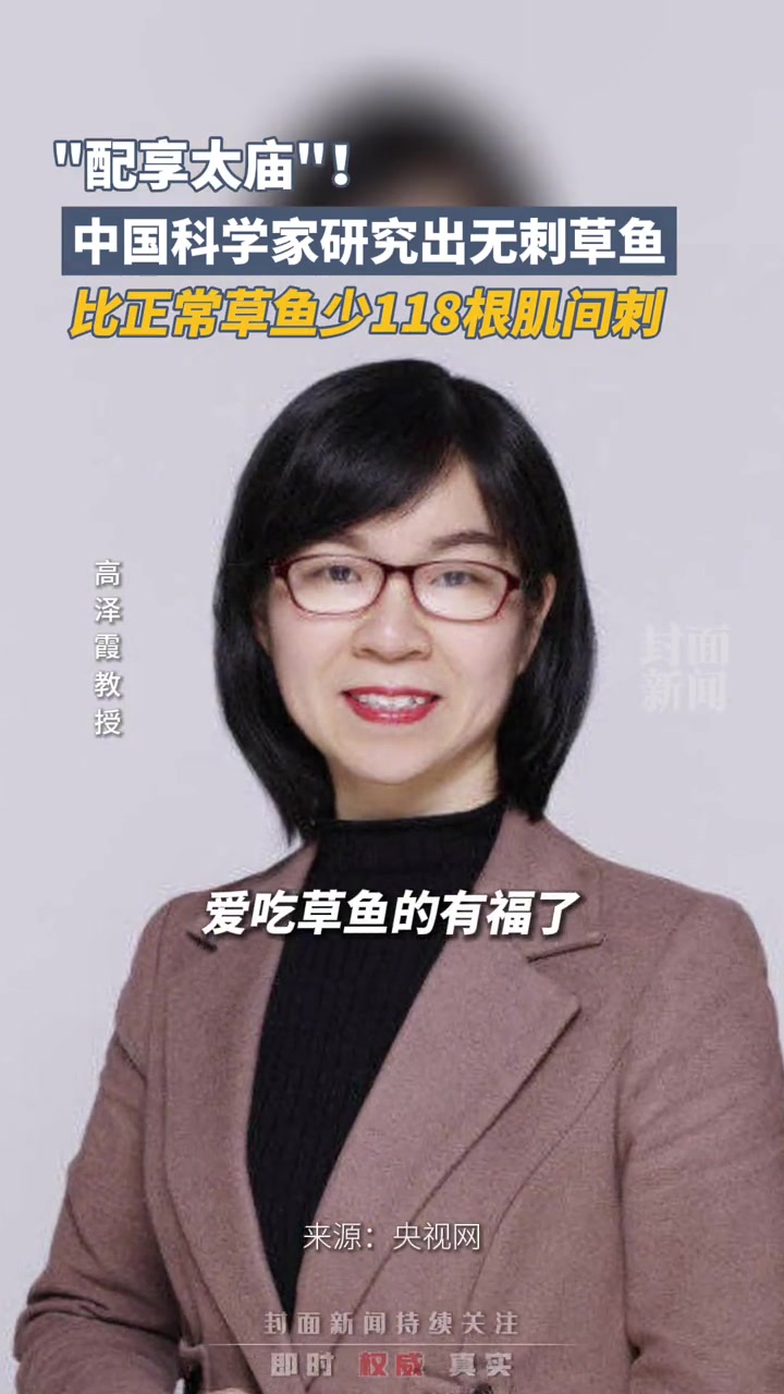 “配享太庙”!中国科学家研究出无刺草鱼,比正常草鱼少118根肌间刺