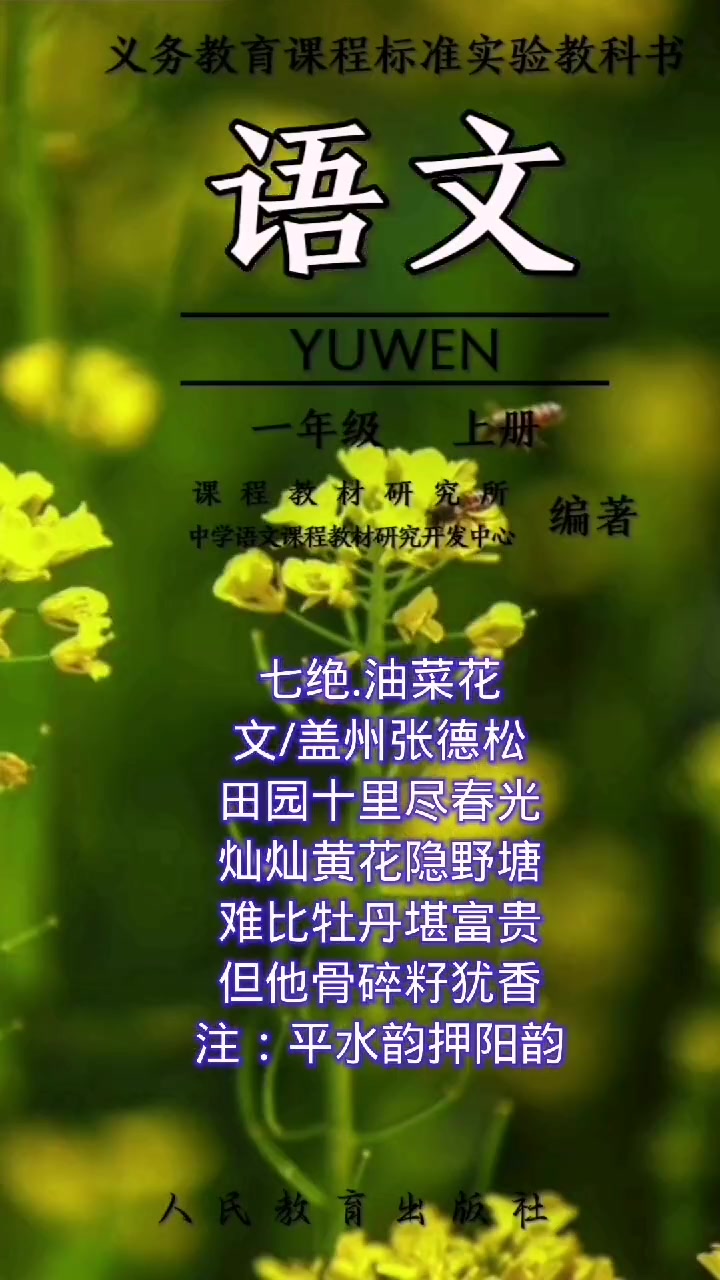 七绝.油菜花文/盖州张德松田园十里尽春光灿灿黄花隐野塘难比牡丹堪富贵但他骨碎籽犹香注:平水