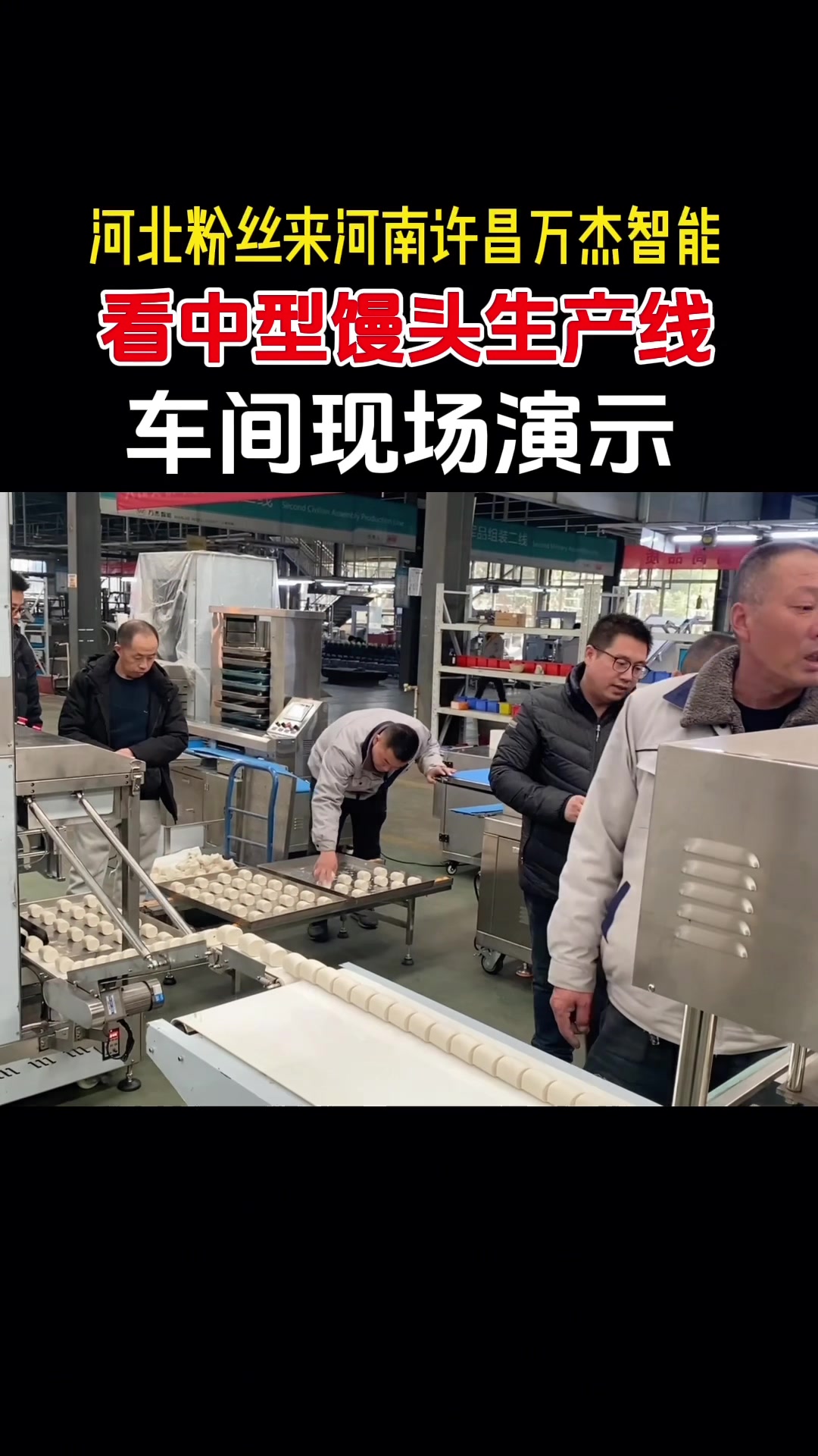 馒头机#厂家车间实拍 #馒头生产线 ,做馒头不用人#馒头机
