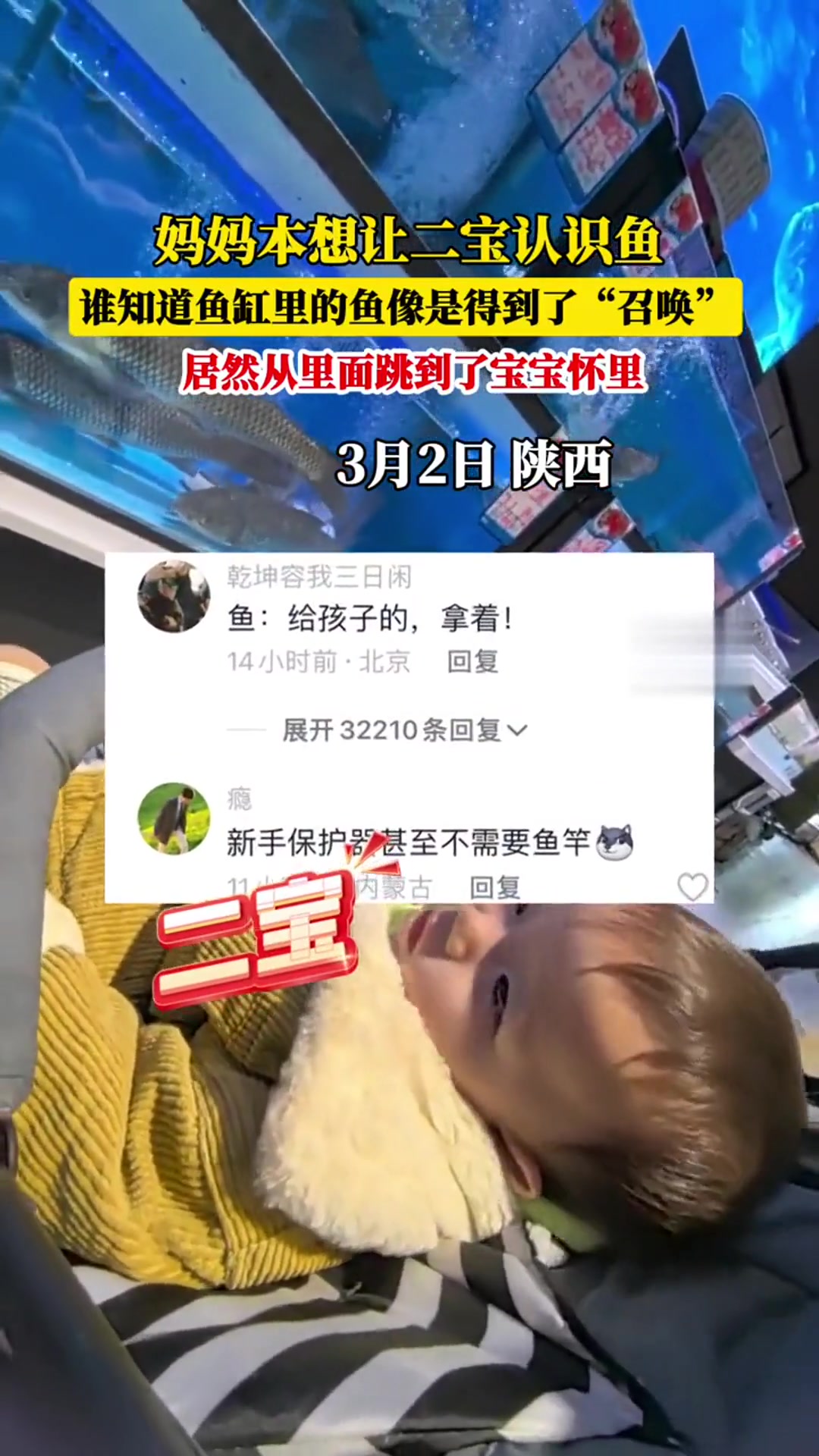 谁能想到,鱼能从鱼缸里跳出来,正好跳到宝宝怀里
