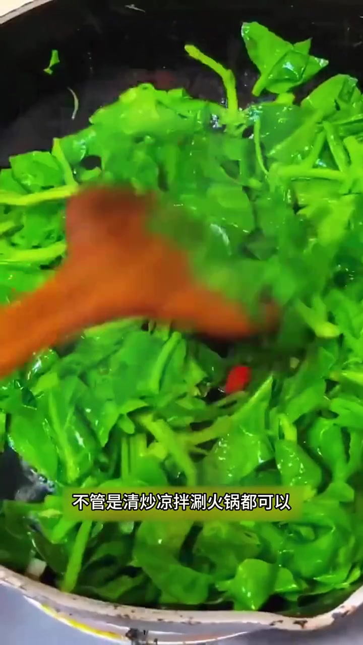 大叶木耳菜,四季可采摘,滑滑嫩嫩好吃又营养 木耳菜种子 我的小菜园子