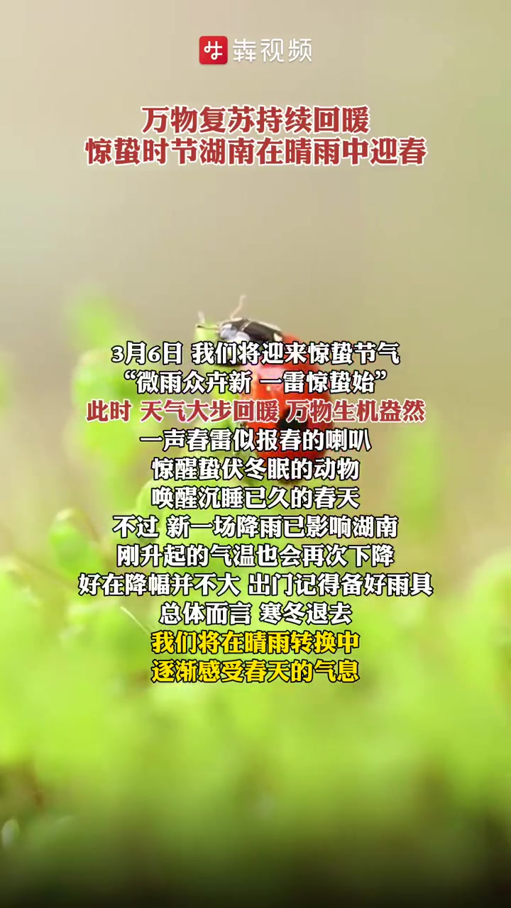 「万物复苏持续回暖,惊蛰时节湖南在晴雨交替中迎春」“微雨众卉新,一雷惊蛰始。”3月6日,惊