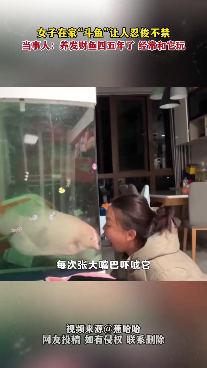 女子逗自家的发财鱼玩,鱼儿的反应亮了。万万没想到 不可思议 来源: