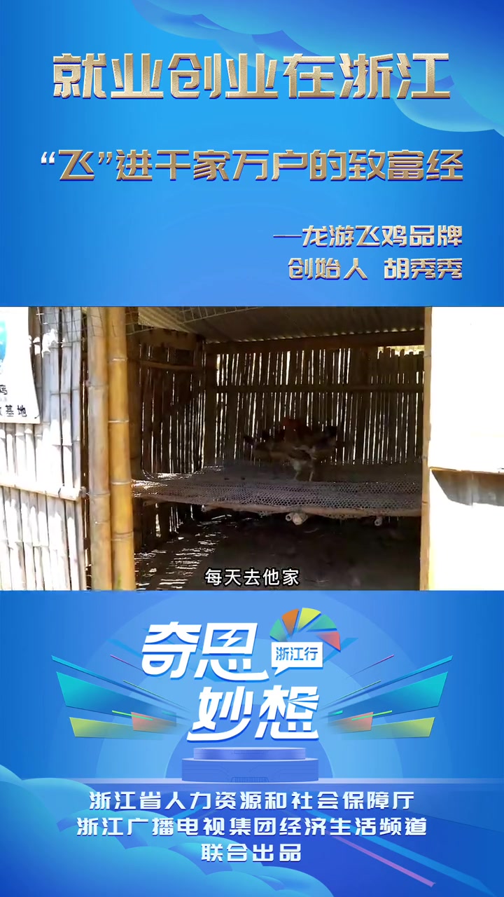 奇思妙想浙江行 胡秀秀:“ 飞 ” 进千家万户的致富经 奇思妙想
