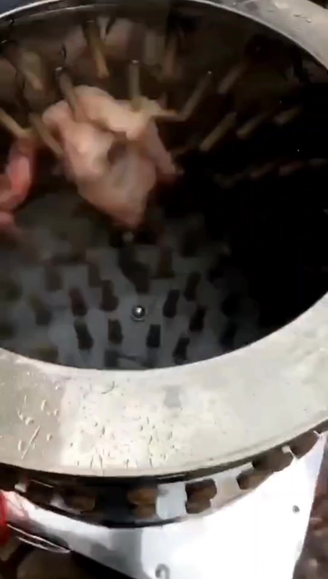 全自动鸡脱毛机小型鸡鸭鹅脱毛机