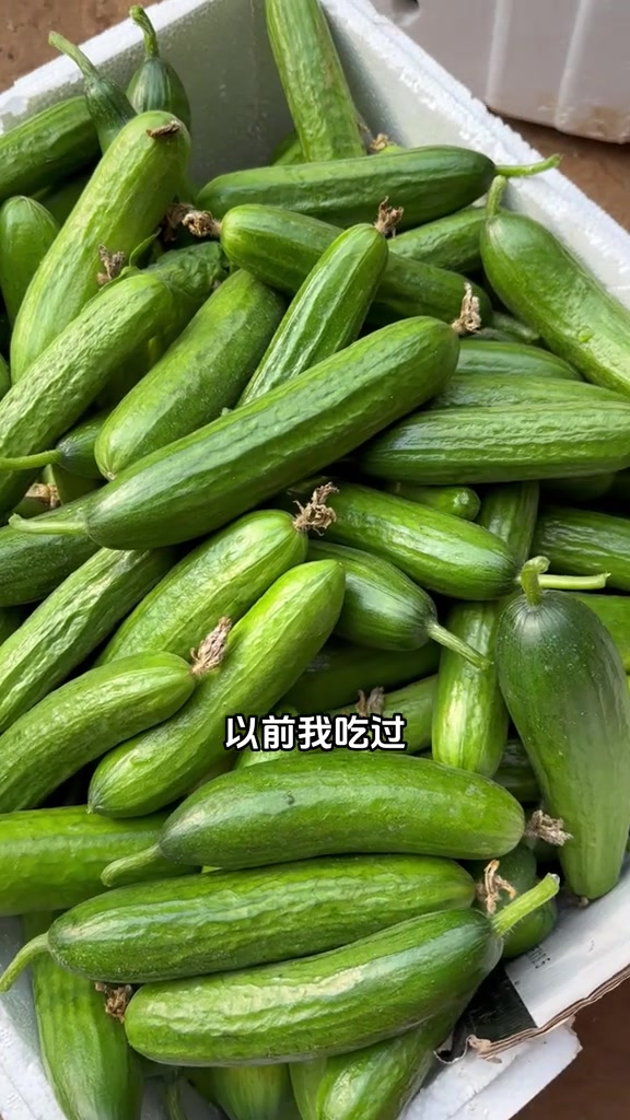 金童玉女的黄瓜我还真是第一次吃,更喜欢玉女的,口感更脆 来天鹅之城游生态北票 宣传家乡 我