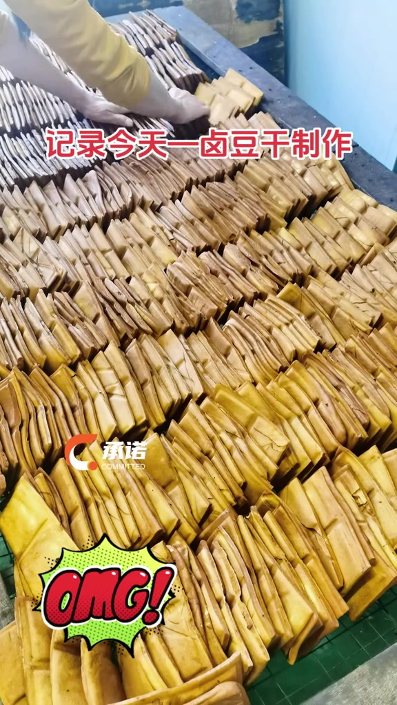 记录今天—卤豆干制作!豆制品教学 脆脆豆腐干制作流程 把家乡的味道分享给大家 卤味豆腐干做