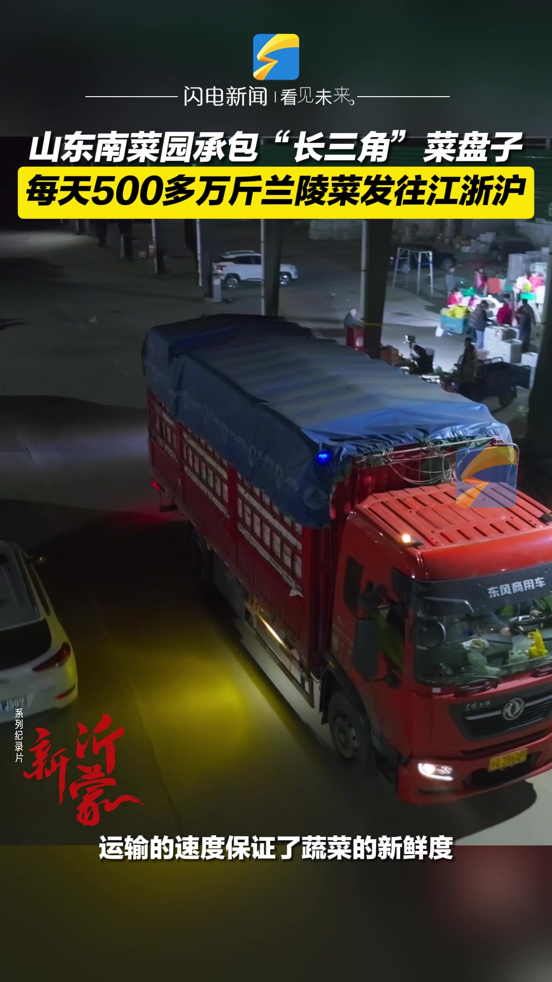山东南菜园承包“长三角”菜盘子 每天500多万斤兰陵菜发往江浙沪