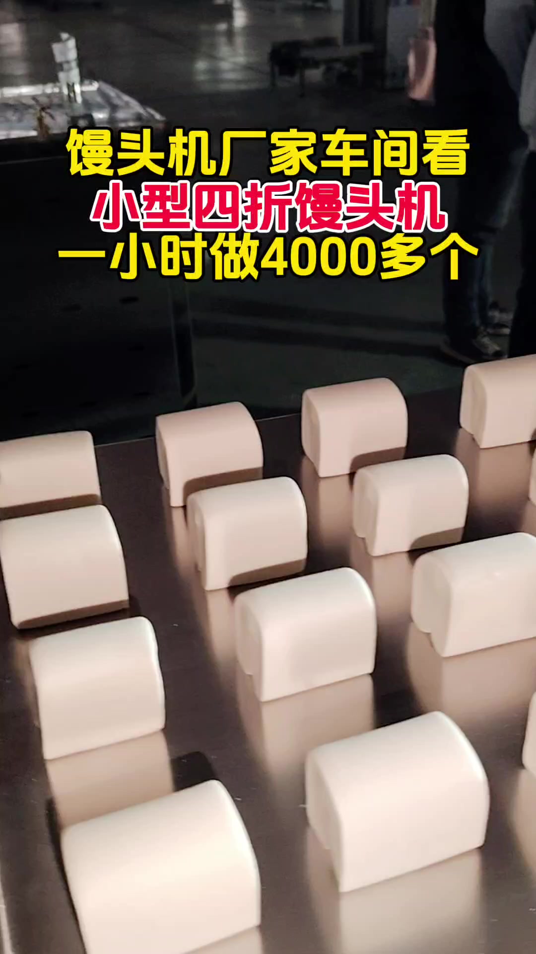 馒头机厂家车间做馒头,小型四折馒头机自动做,一小时做4000多个