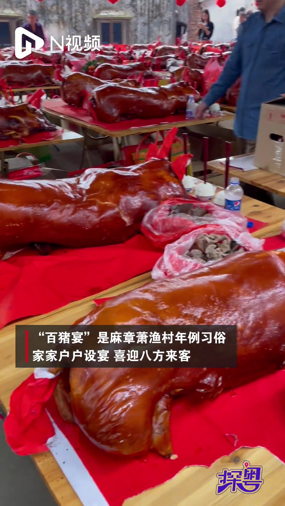 广东年菜麻章烧猪:被太平萧渔年例的“百猪宴”炫到了!