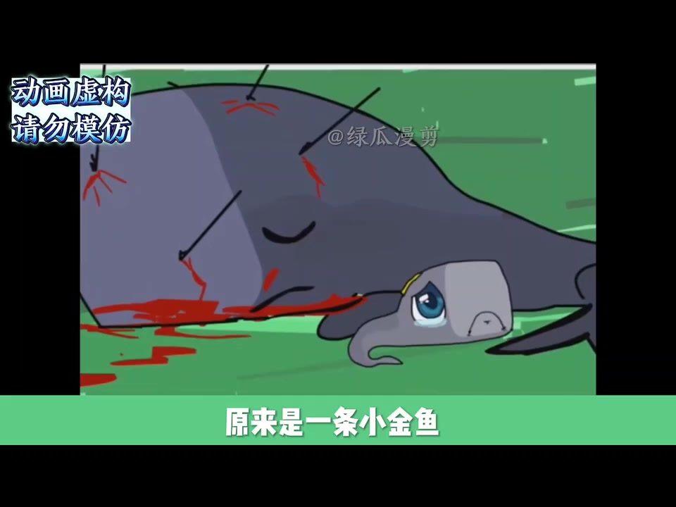 鲸鱼珍珍都来历