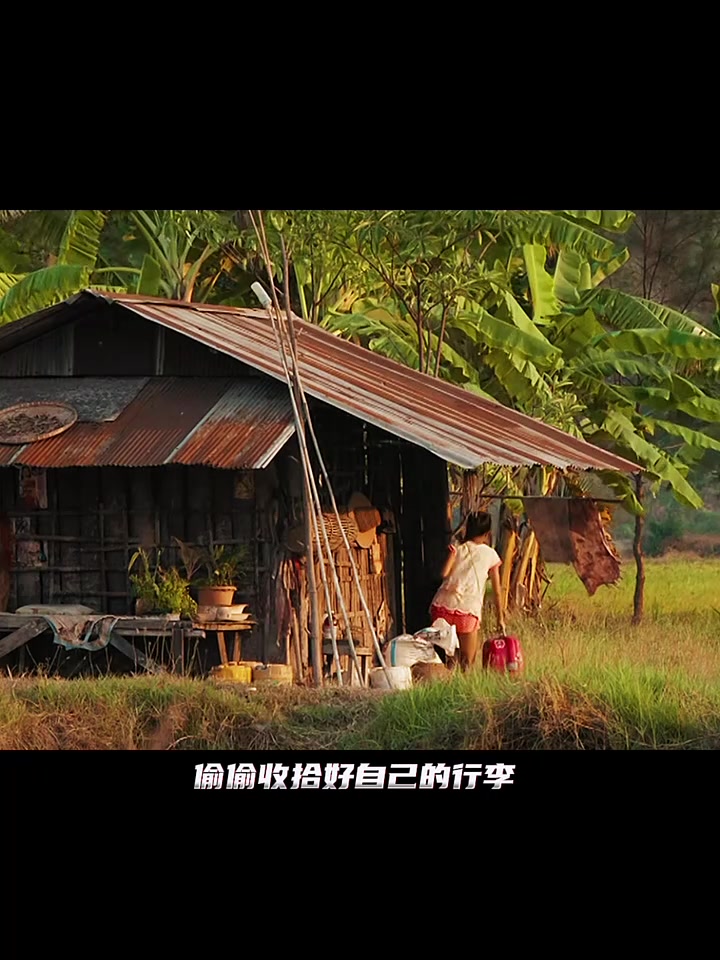 分享视频