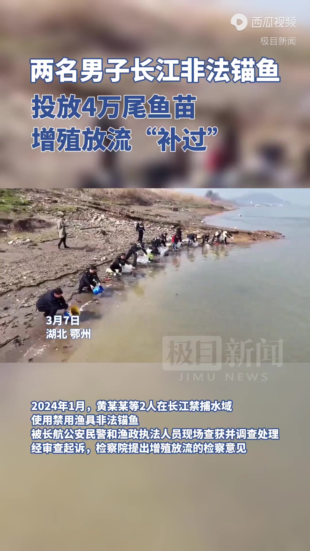 两名男子长江非法锚鱼,投放4万尾鱼苗增殖放流“补过”